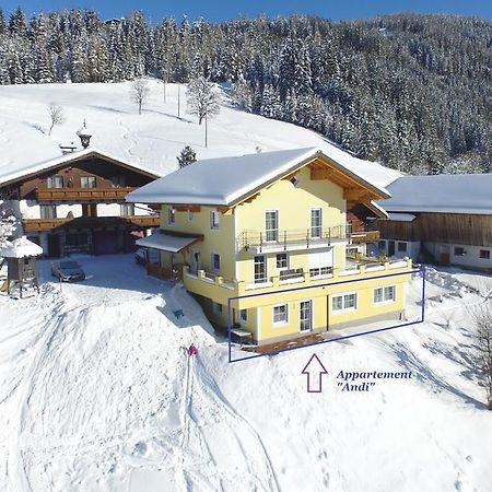 Appartement Andi Wagrain Exteriér fotografie